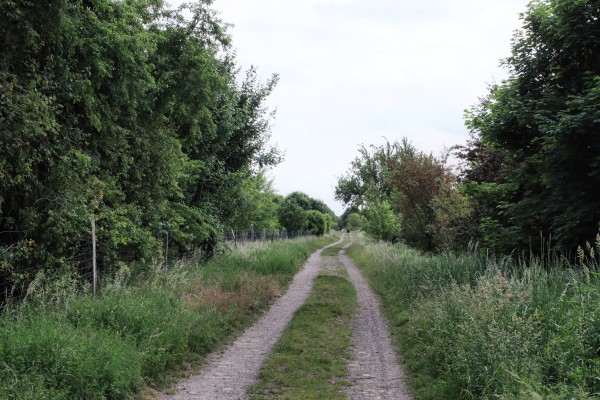 Pechpfuhlweg