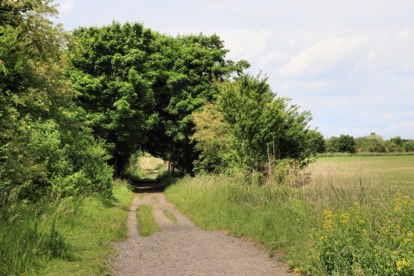 Pechpfuhlweg