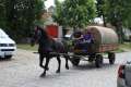 Pferdewagen