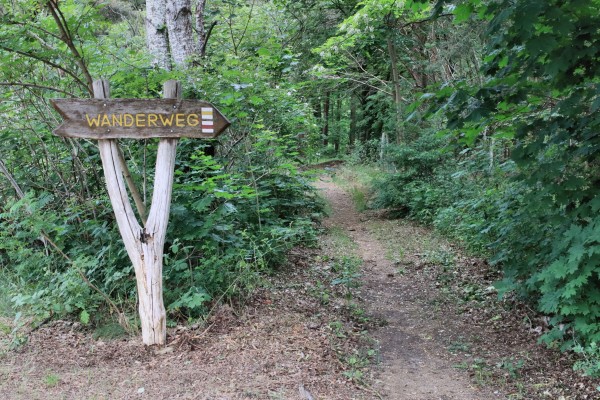 Waldweg