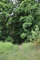 Waldweg