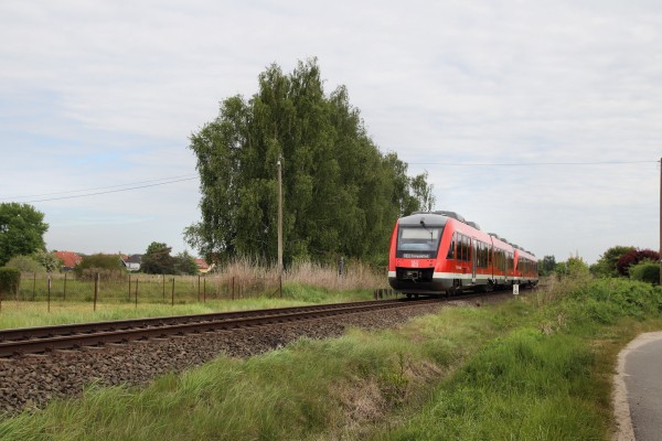 Am Fließ