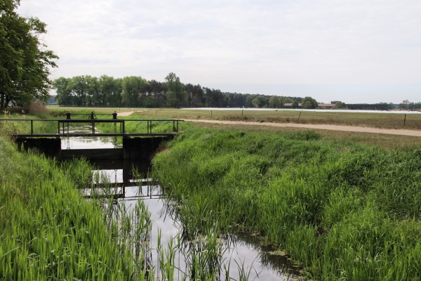 Hörstegraben