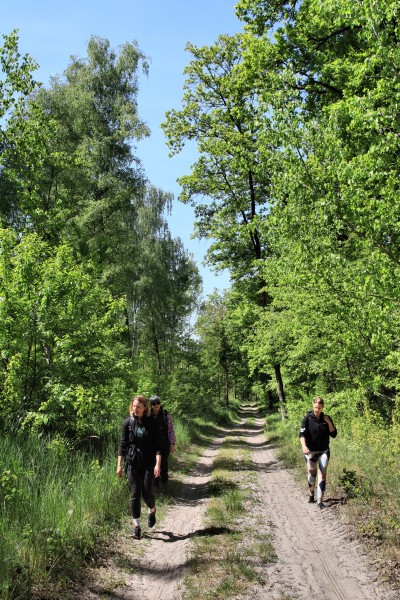 Am Ruppiner Kanal