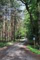 Waldweg