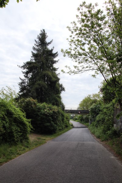 Oranienburger Weg