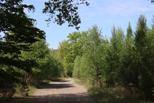 Verlorenorter Weg
