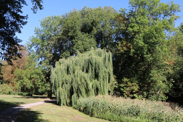 Schloßpark