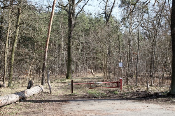 Waldweg