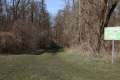 Waldweg