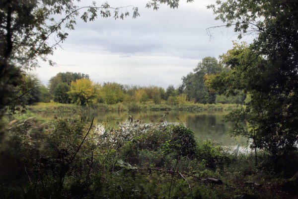 Schönerlinder Teich