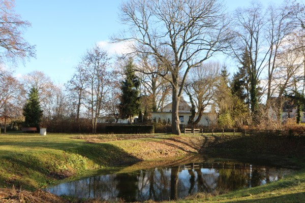 Dorfteich