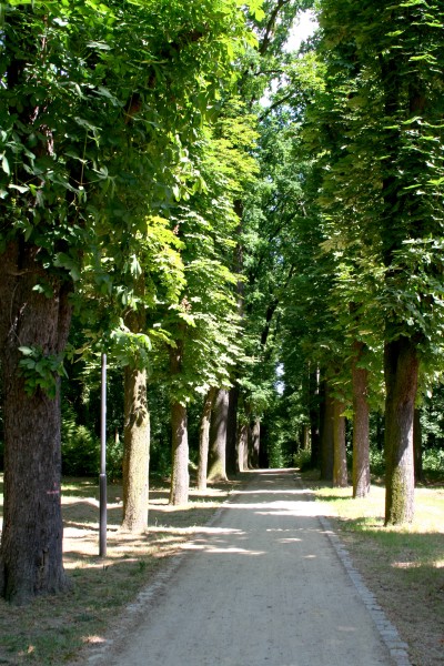 Stadtpark