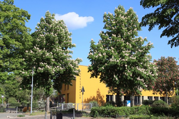 Havelschule