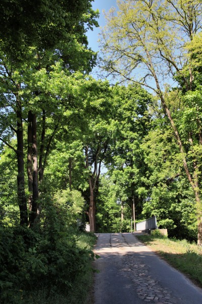 Kuhbrücke
