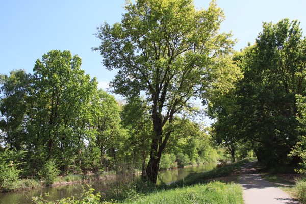 Uferpromenade
