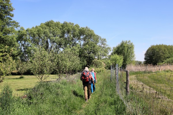 Tiergartenweg