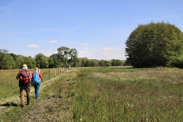 Tiergartenweg