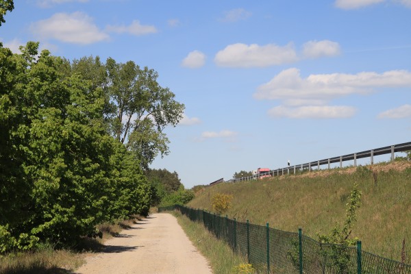 Tiergartenweg