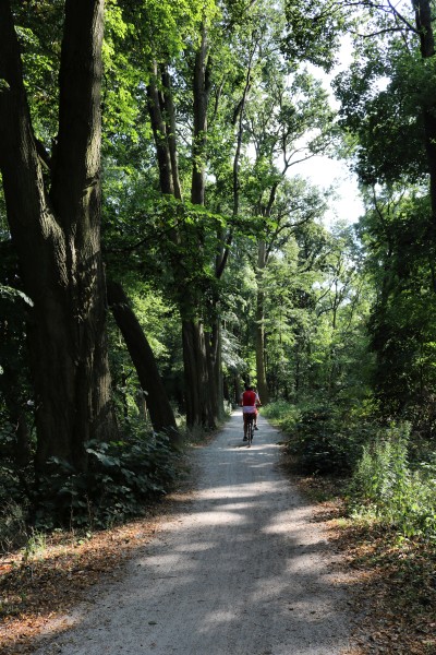 Seepromenade