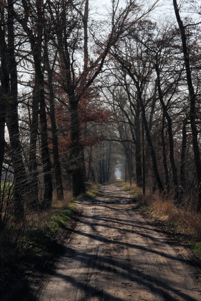 Stolzenhagener Weg