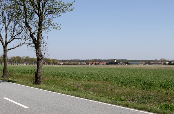 20100425005blick