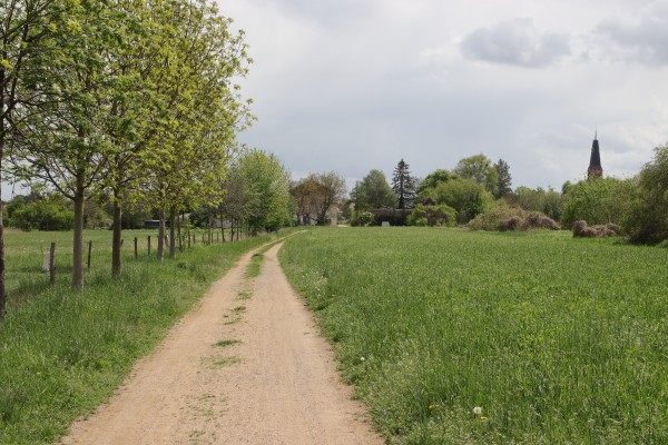 Feldweg zur Heckenstraße