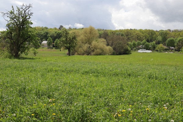 Windmühlenberg