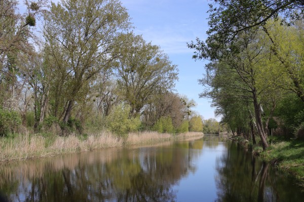 Golmer Stichkanal