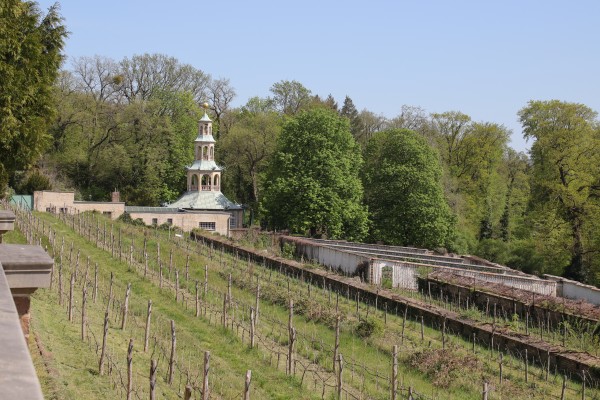 Weinberg Drachenhaus