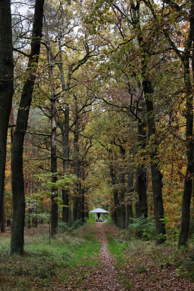 Kastanienallee