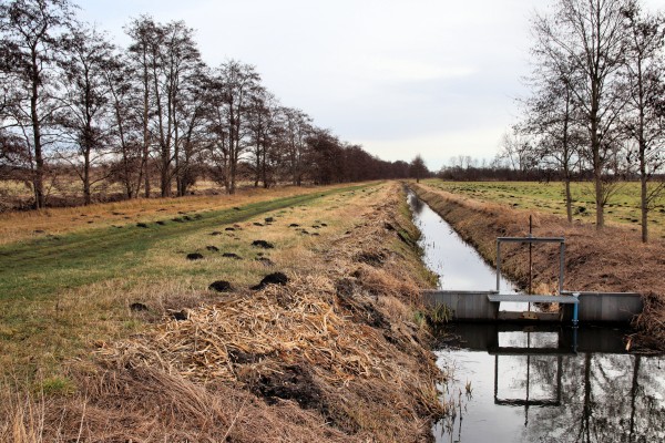 Zülowkanal