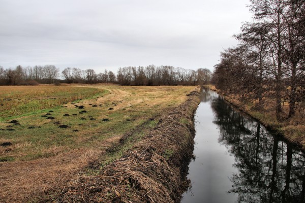 Zülowkanal