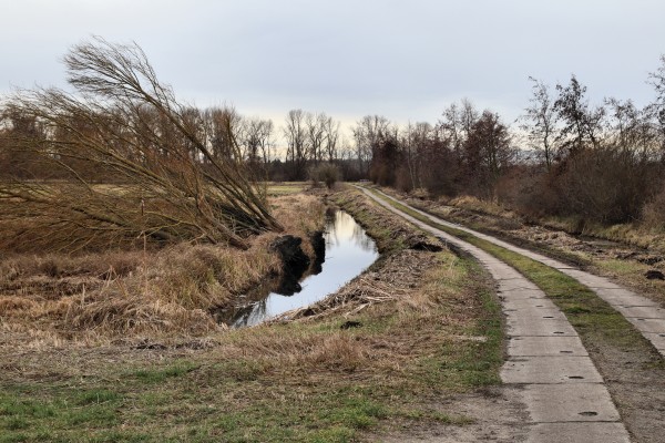 Feldweg