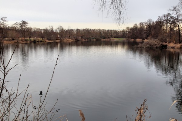 Kiesteich