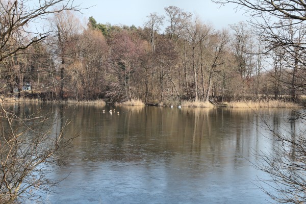 Kiesteich