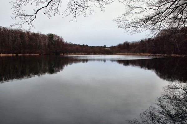 Krumme Lanke