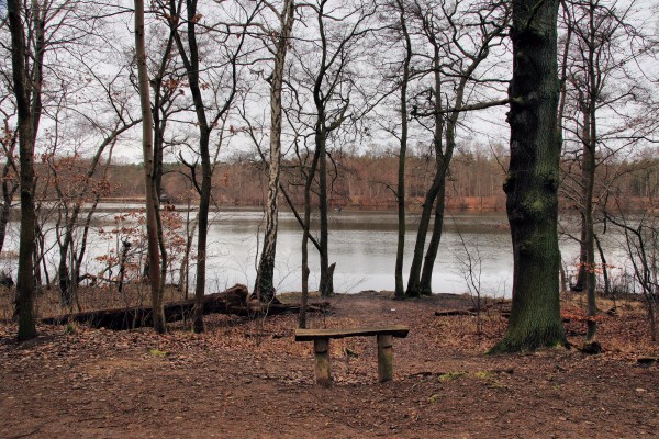 Krumme Lanke
