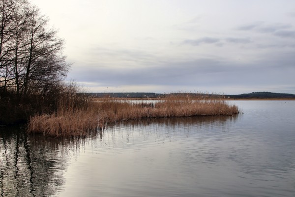 Rangsdorfer See