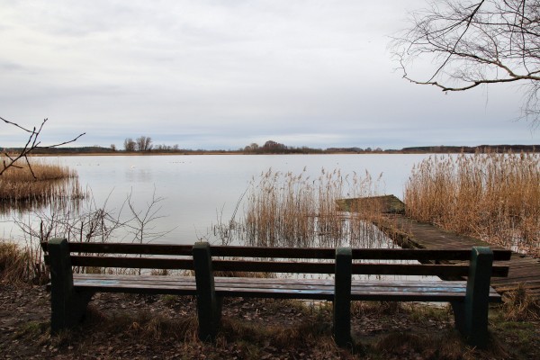 Rangsdorfer See