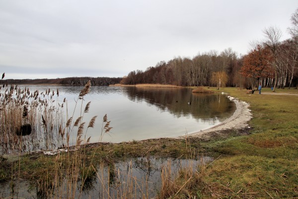 Strandbad Rangsdorfer See