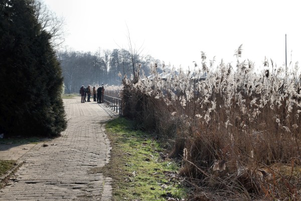 Uferpromenade