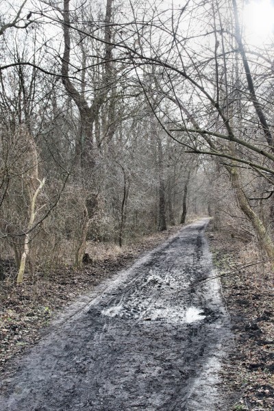 Uferweg