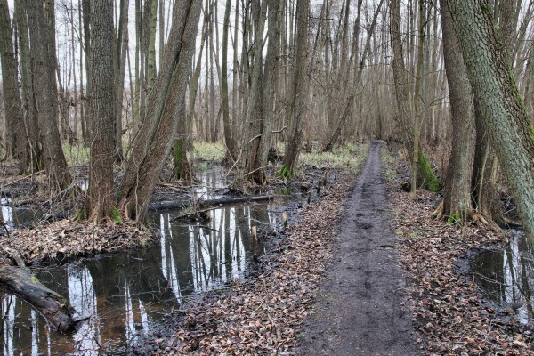 Zülowgrabenniederung
