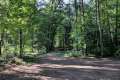 Waldweg