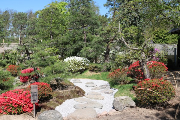 Bonsaigarten