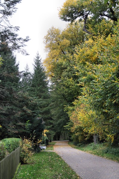 Seeweg