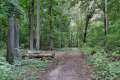 Waldweg