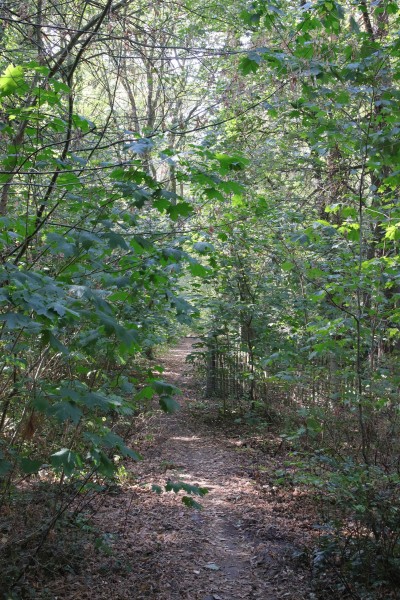 Alte Potsdamer Landstraße