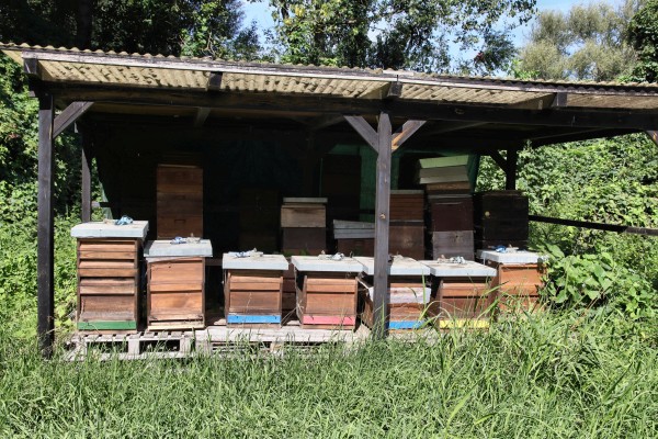 Bienenkästen